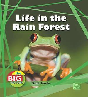 Life in the Rain Forest de Sarah Levete