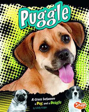 Puggle: A Cross Between a Pug and a Beagle de Molly Kolpin