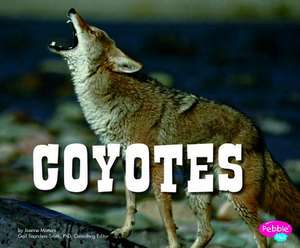 Coyotes de Joanne Mattern