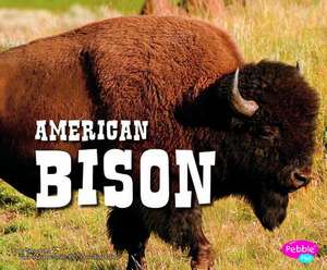 American Bison de Steve Potts