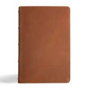 CSB Men's Daily Bible, Brown Genuine Leather de Robert Wolgemuth