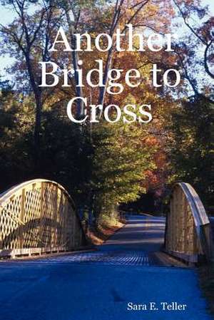 Another Bridge to Cross de Sara E. Teller