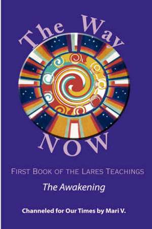 The Way Now: Book One of the Lares Teachings de Mari V.