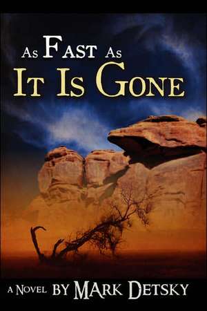 As Fast As It Is Gone de Mark Detsky