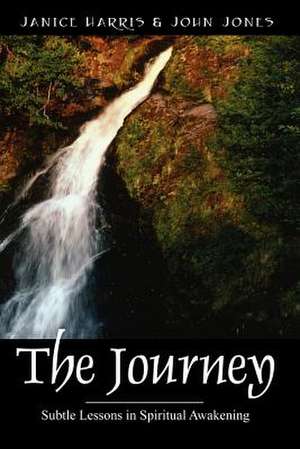 The Journey: Subtle Lessons in Spiritual Awakening de Janice Harris