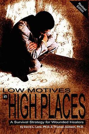 Low Motives in High Places: A Survival Strategy For Wounded Healers de David L Lane PhD