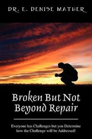 Broken But Not Beyond Repair: Everyone has Challenges but you Determine how the Challenge will be Addressed! de Dr E Denise Mather