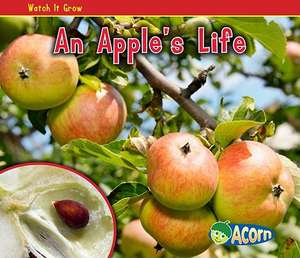 An Apple's Life de Nancy Dickmann