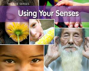 Using Your Senses de Rebecca Rissman