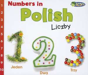 Numbers in Polish: Liczby de Daniel Nunn