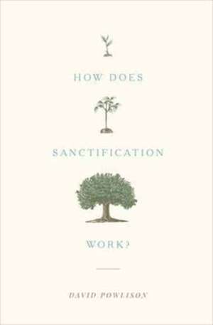 How Does Sanctification Work? de David Powlison