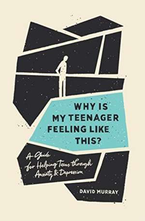 Why Is My Teenager Feeling Like This? – A Guide for Helping Teens through Anxiety and Depression de David Murray