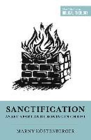 Sanctification as Set Apart and Growing in Christ de Margaret Elizab Köstenberger