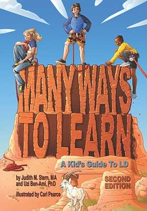 Many Ways to Learn: A Kid's Guide to LD de Judith M. Stern