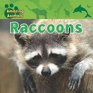 Raccoons de Karen Baicker