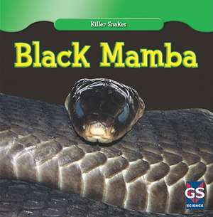 Black Mamba de Angelo Gangemi