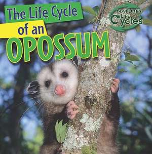 The Life Cycle of an Opossum de Barbara M. Linde