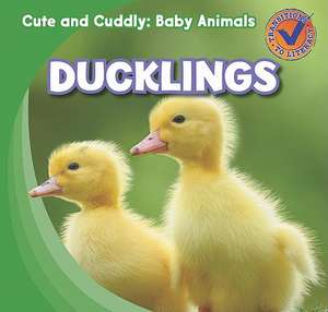 Ducklings de Katie Kawa