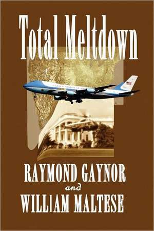 Total Meltdown de Raymond Gaynor