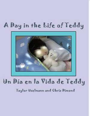 Un Dia En La Vida de Teddy/A Day in the Life of Teddy de Taylor Uselmann