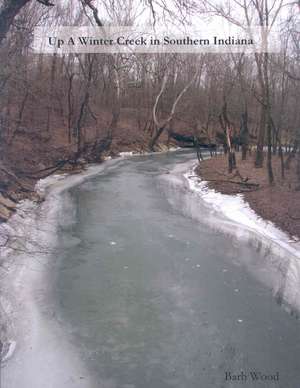 Up A Winter Creek in Southern Indiana de Barb Wood