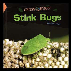 Stink Bugs de Jonathan Kravetz