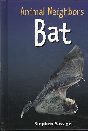 Bat de Stephen Savage