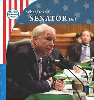 What Does a Senator Do? de David J. Jakubiak