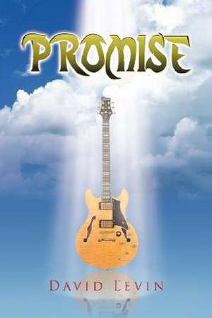 Promise de David Levin