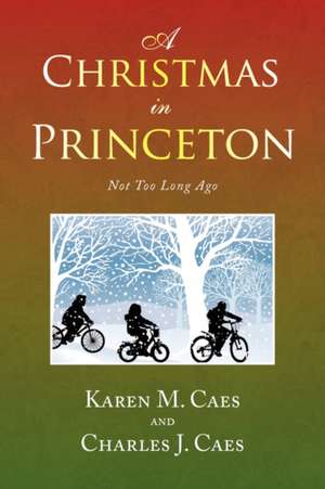 A Christmas in Princeton de Karen M. Caes