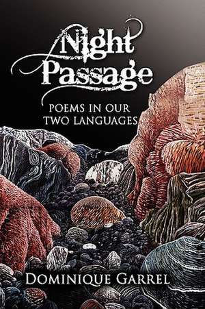 Night Passage de Dominique Garrel