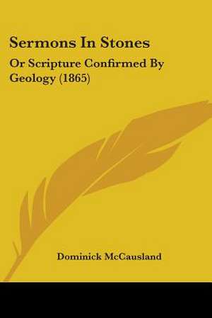 Sermons In Stones de Dominick McCausland