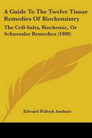 A Guide To The Twelve Tissue Remedies Of Biochemistry de Edward Pollock Anshutz