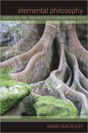Elemental Philosophy