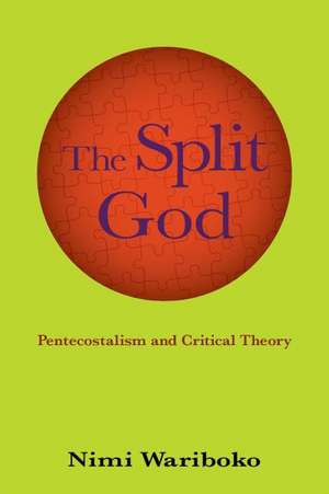 The Split God de Nimi Wariboko
