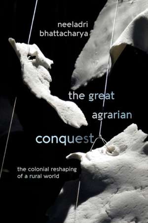 The Great Agrarian Conquest de Neeladri Bhattacharya