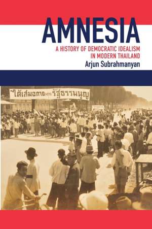 Amnesia de Arjun Subrahmanyan