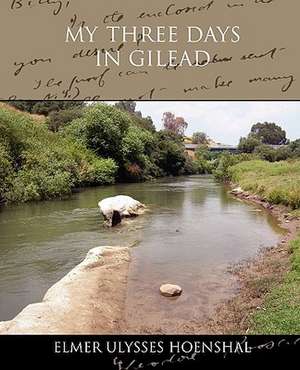 My Three Days in Gilead de Elmer Ulysses Hoenshal