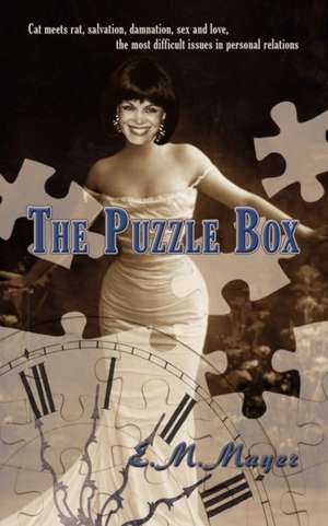 The Puzzle Box de E. M. Mayer