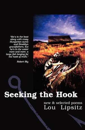 Seeking the Hook de Lou Lipsitz