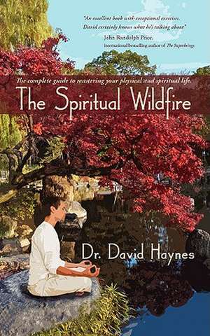 The Spiritual Wildfire de David Haynes