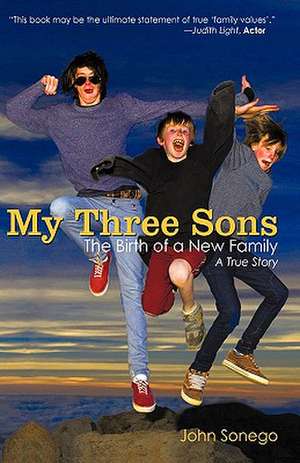 My Three Sons de John Sonego