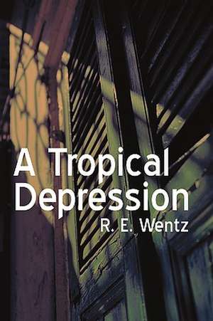 A Tropical Depression de E. Wentz R. E. Wentz