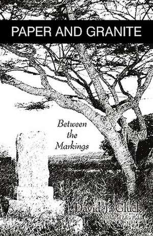 Paper and Granite de J. Gluck David J. Gluck