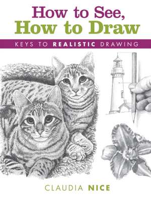 How to See, How to Draw de C Nice