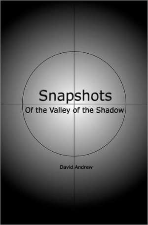 Snapshots de David Andrew