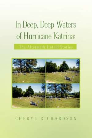 In Deep, Deep Waters of Hurricane Katrina de Cheryl Richardson