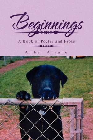 Beginnings de Amber Albano