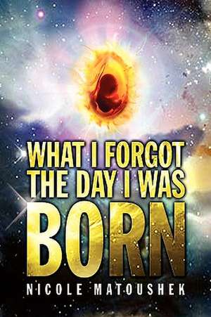 What I Forgot the Day I Was Born de Nicole Matoushek