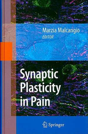 Synaptic Plasticity in Pain de Marzia Malcangio